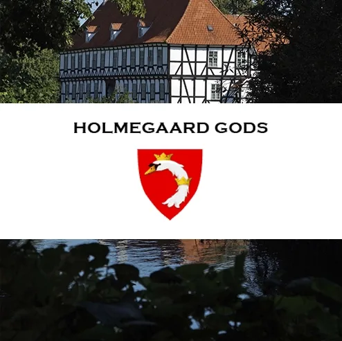Holmegaard Gods reference