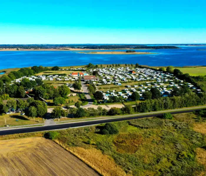 Camping solceller - hvide svaner camping