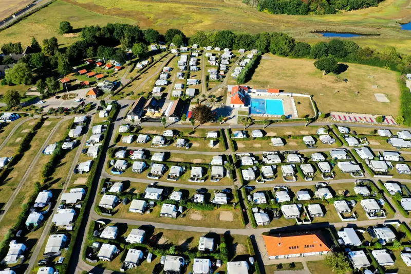 oversigt hvide svaner