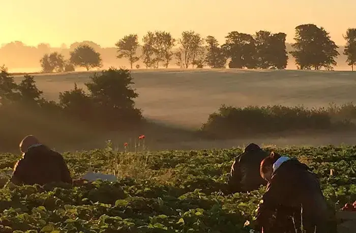 esromgaard solceller top